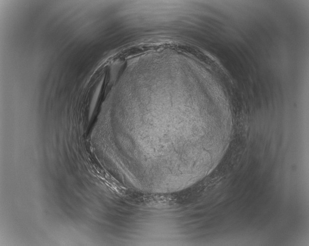 X0000080740823200701021144