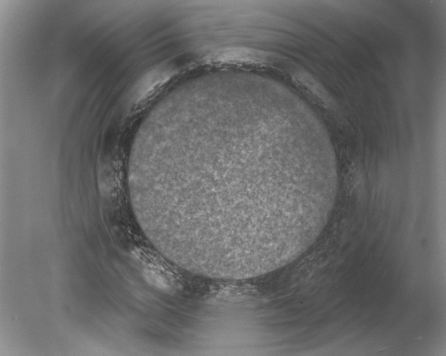 X0000080740824200701021144