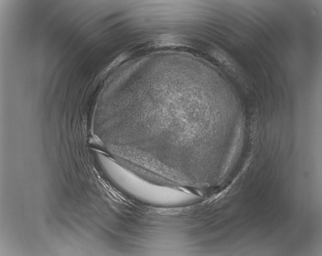 X0000080740825200701021144