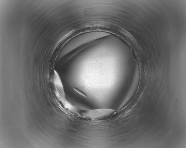 X0000080740826200701021144