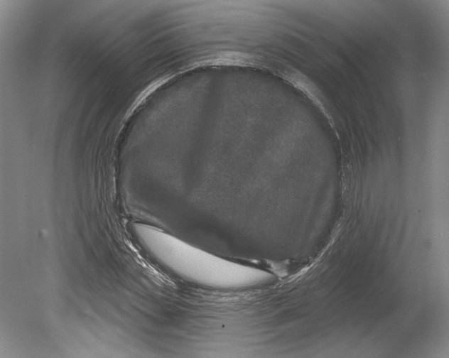 X0000080740829200701021144