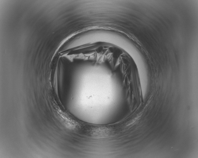 X0000080740830200701021144