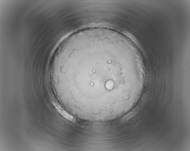 X0000080740832200701021144