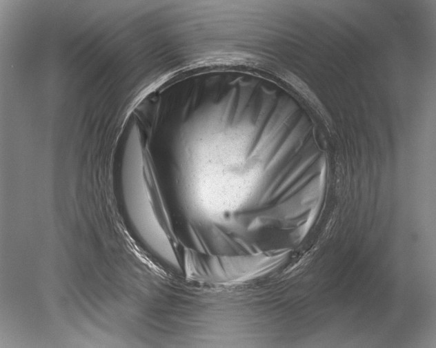 X0000080740834200701021144