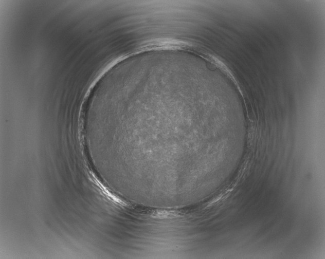 X0000080740835200701021144