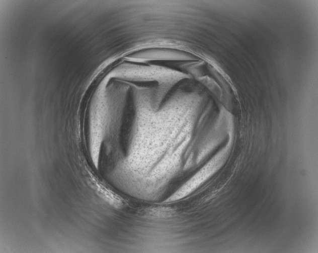 X0000080740837200701021144