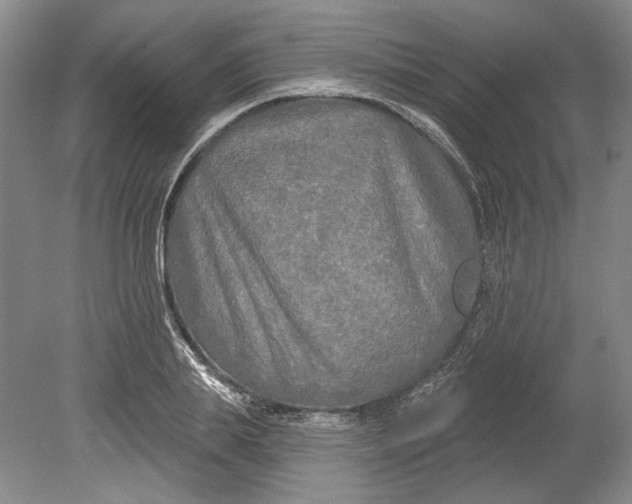 X0000080740839200701021144