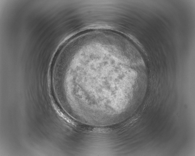 X0000080740840200701021144