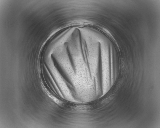 X0000080740843200701021144