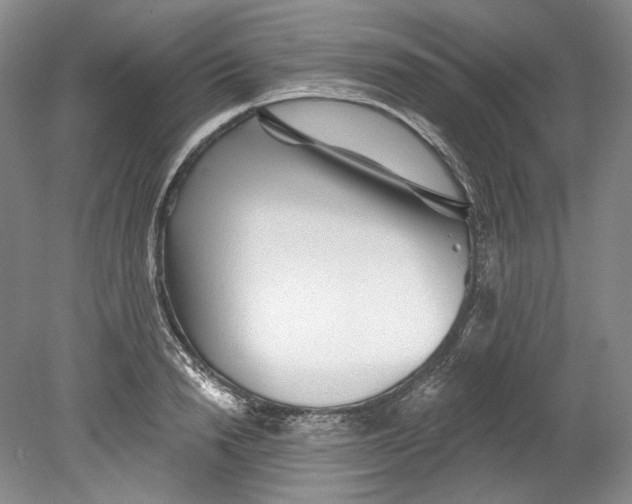 X0000080740846200701021145