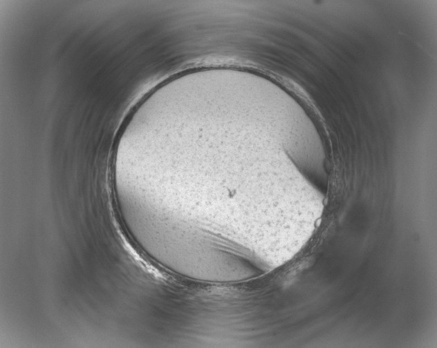 X0000080740847200701021145