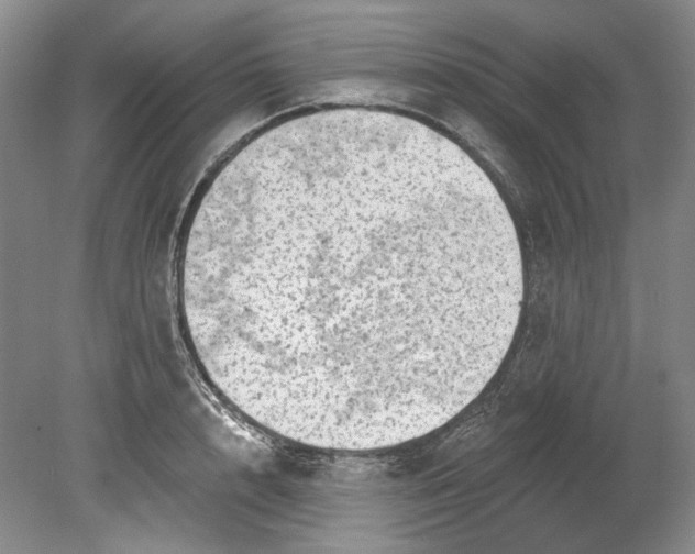 X0000080740848200701021145