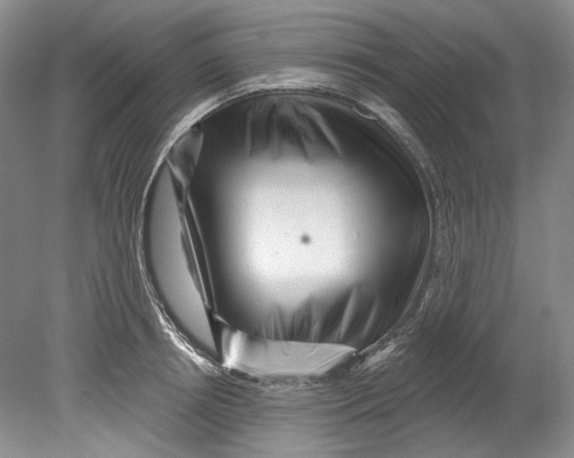 X0000080740850200701021145