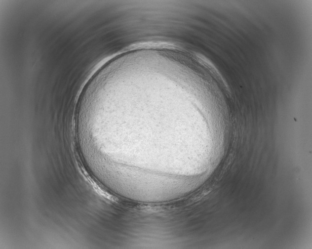 X0000080740852200701021145