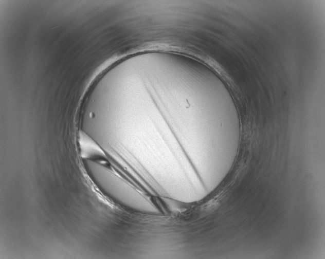 X0000080740854200701021145