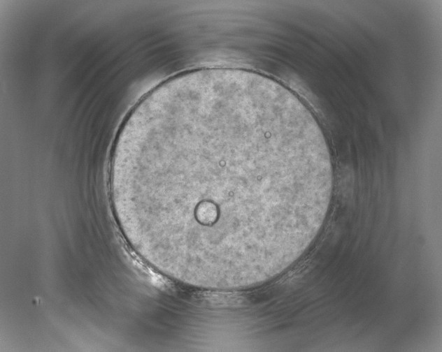 X0000080740856200701021145