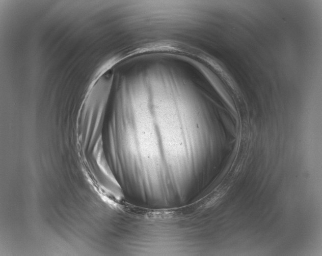 X0000080740858200701021145