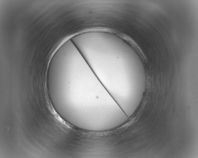 X0000080740860200701021145