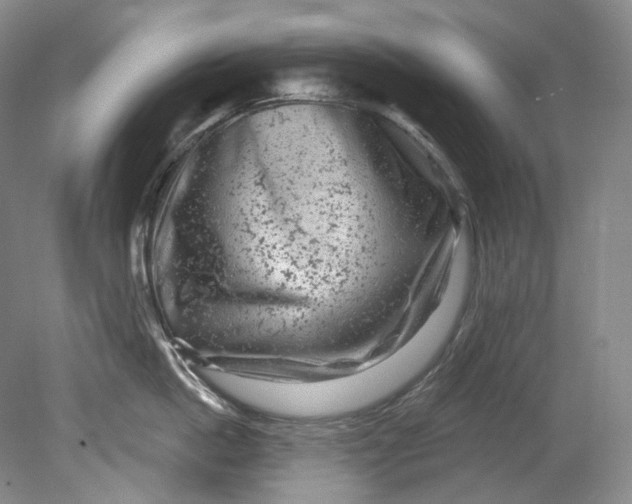 X0000080740862200701021145