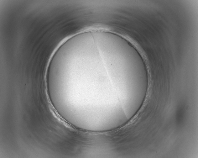 X0000080740864200701021145