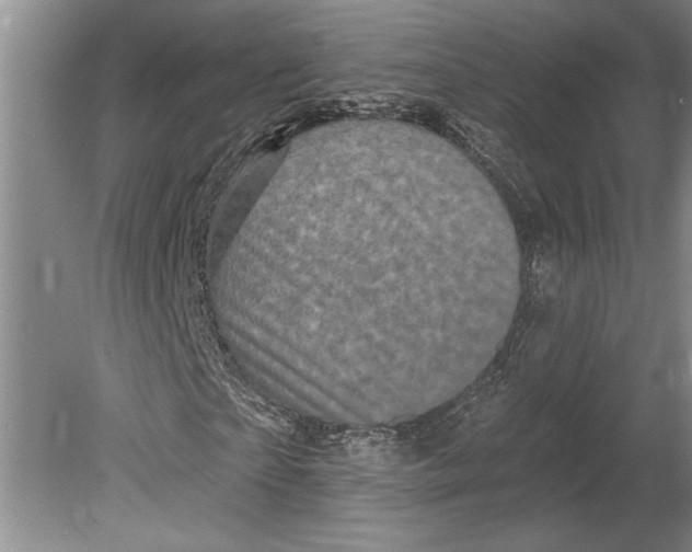 X0000080740865200701021144