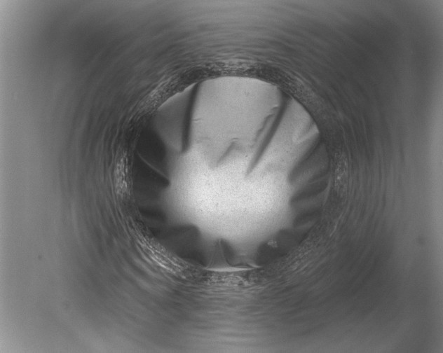 X0000080740866200701021144