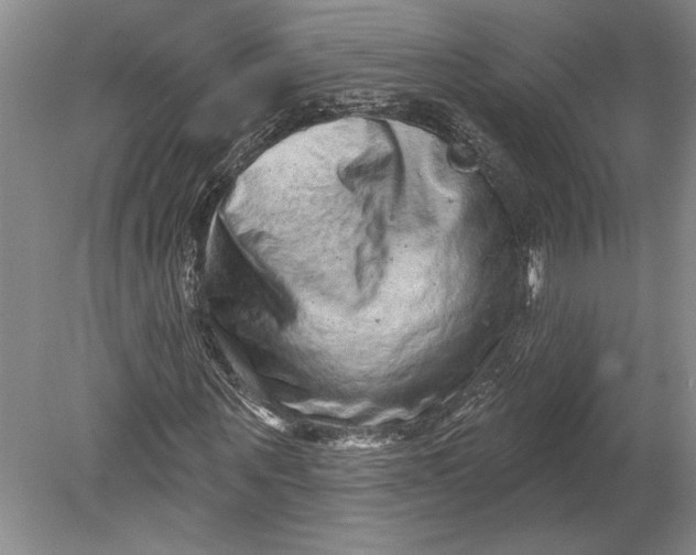 X0000080740867200701021144