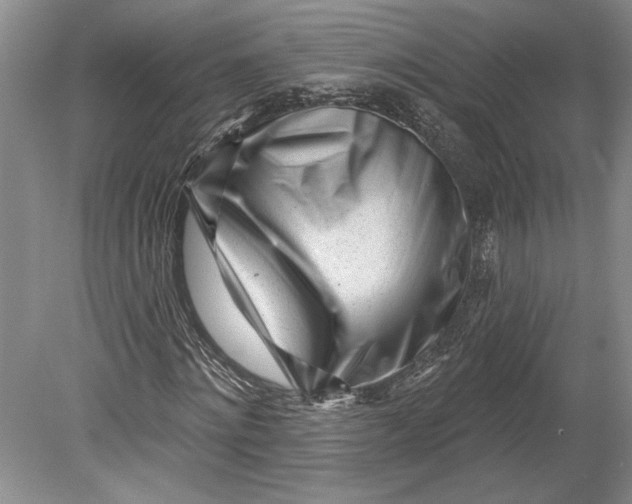 X0000080740868200701021144