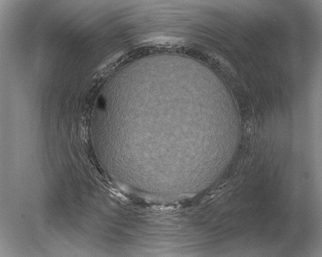 X0000080740869200701021144