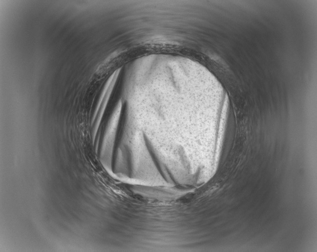 X0000080740870200701021144