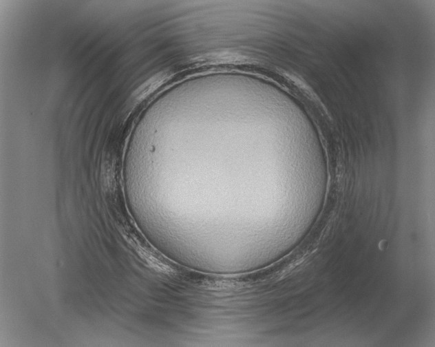 X0000080740873200701021144