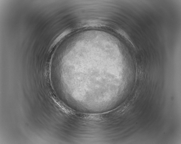 X0000080740874200701021144