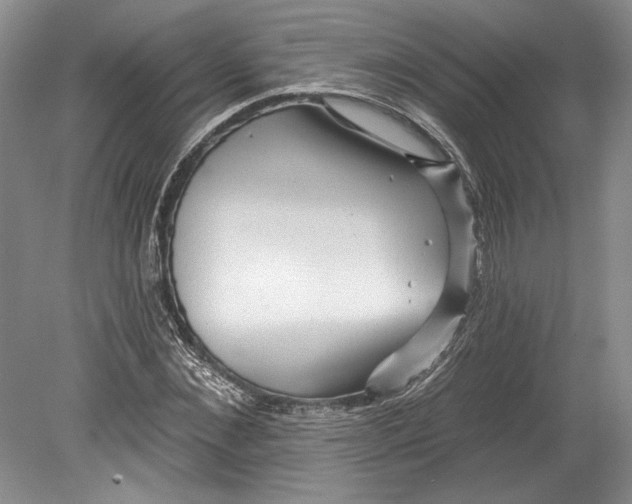 X0000080740876200701021144