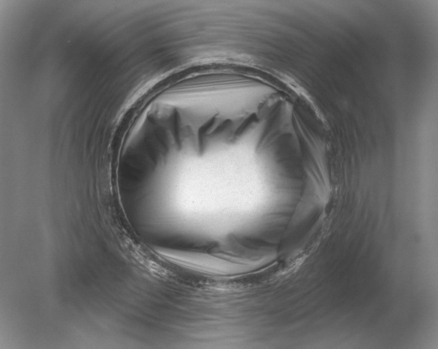 X0000080740877200701021144