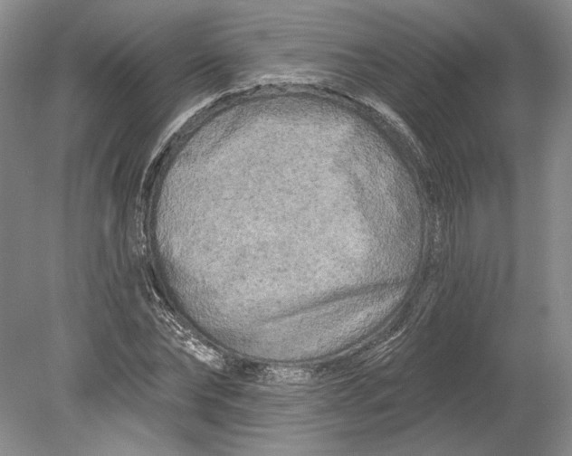 X0000080740878200701021144