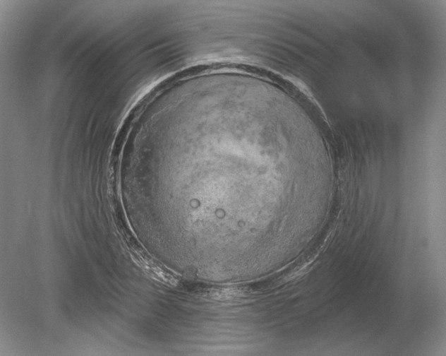 X0000080740879200701021144