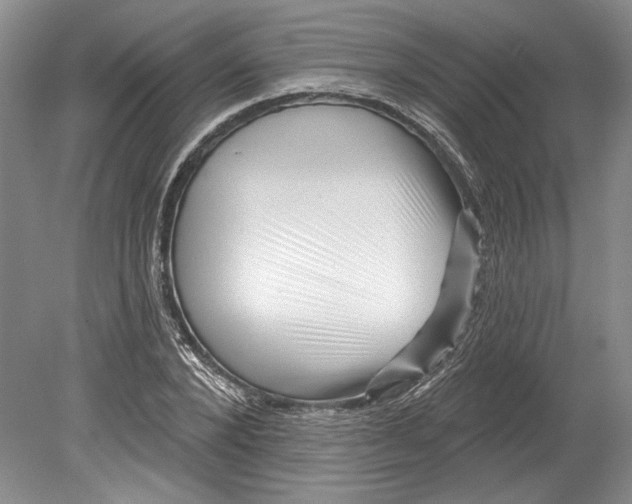 X0000080740880200701021144