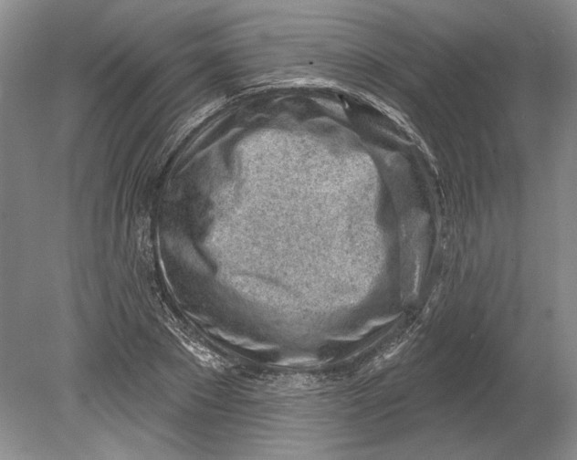 X0000080740881200701021144