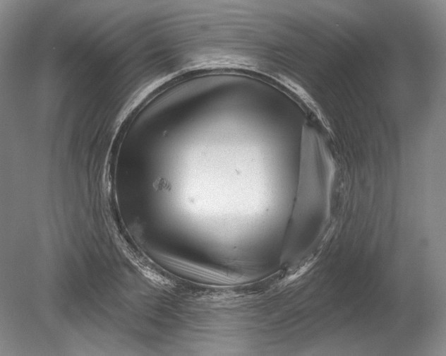 X0000080740885200701021144