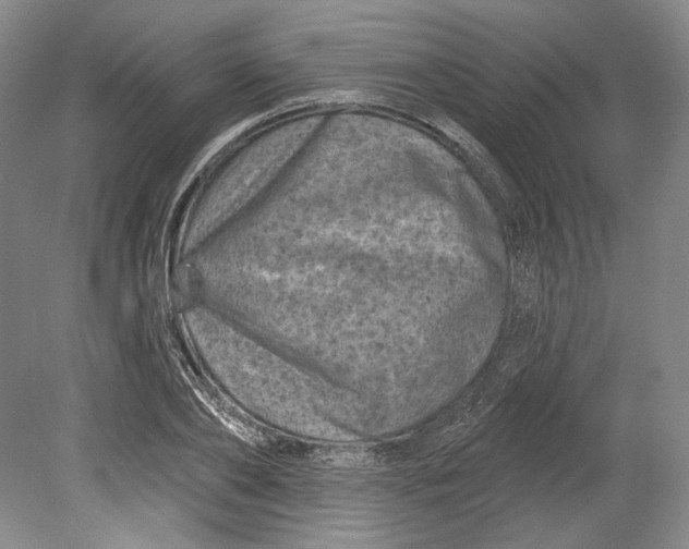 X0000080740886200701021144