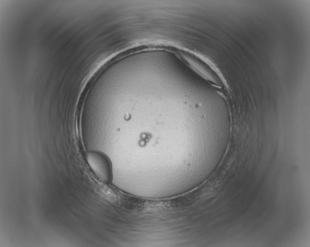 X0000080740887200701021144