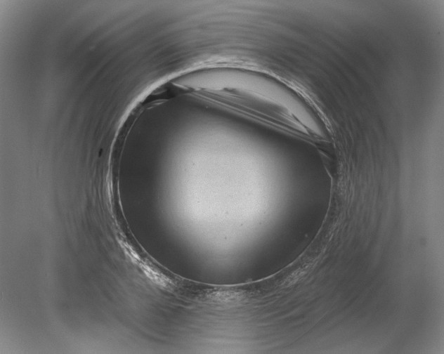 X0000080740888200701021144