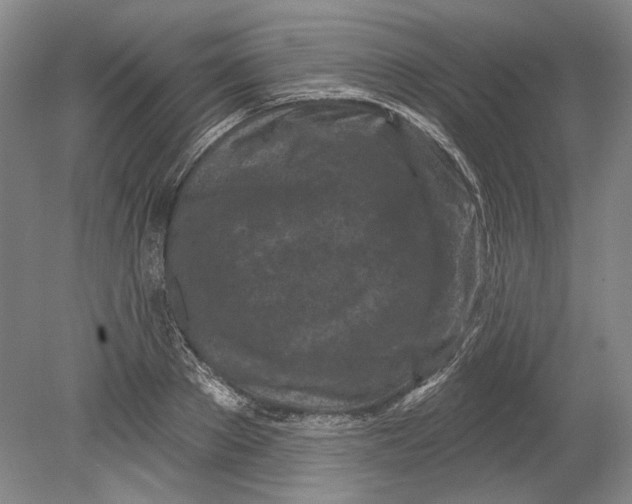 X0000080740889200701021144