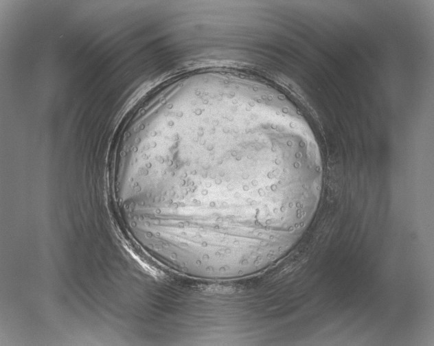 X0000080740890200701021144