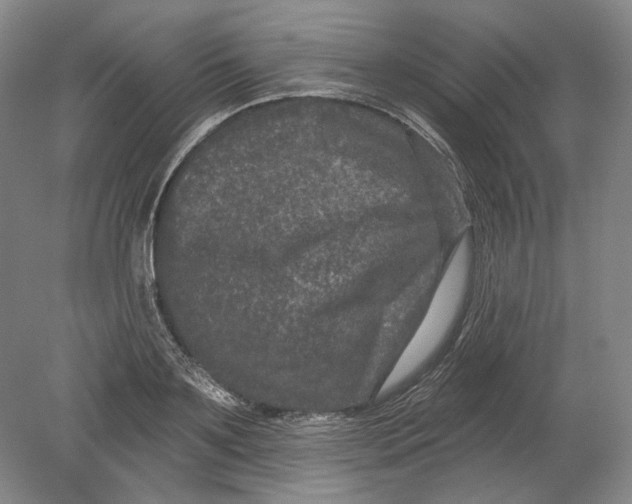 X0000080740891200701021144