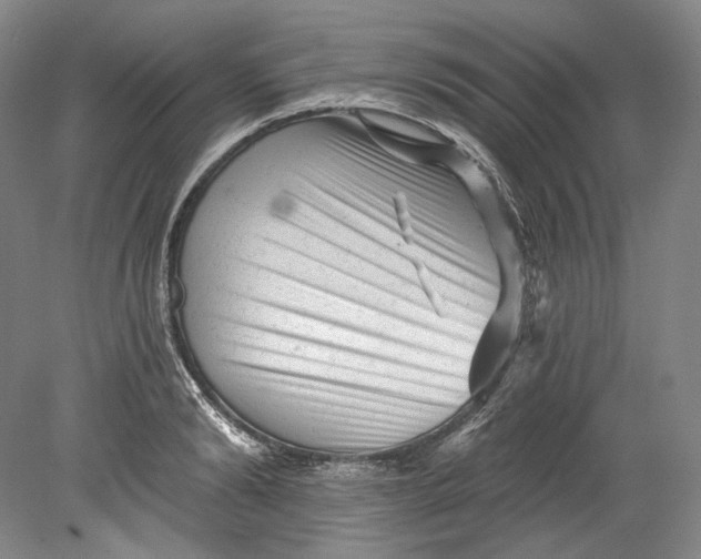 X0000080740894200701021144