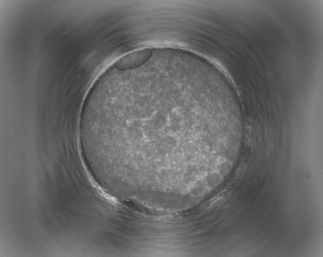 X0000080740895200701021144