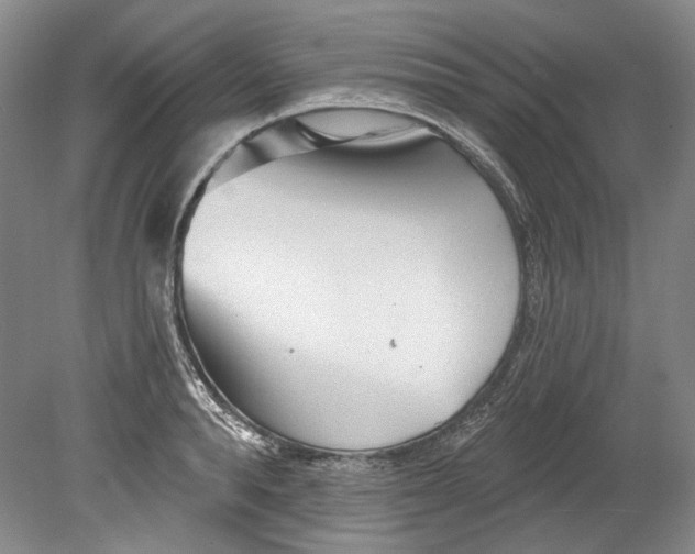 X0000080740896200701021144