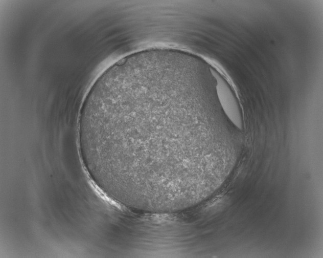 X0000080740903200701021143