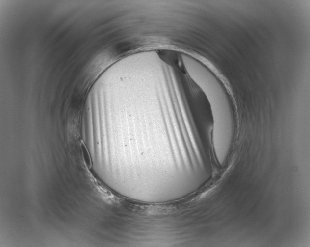 X0000080740905200701021143